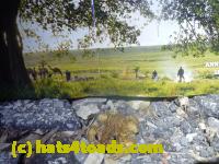 /home//u458753944/public_html/sourcegallery//Roxborough Toad Detour/2013-2019/2014/2014-04-12/P1140954.JPG